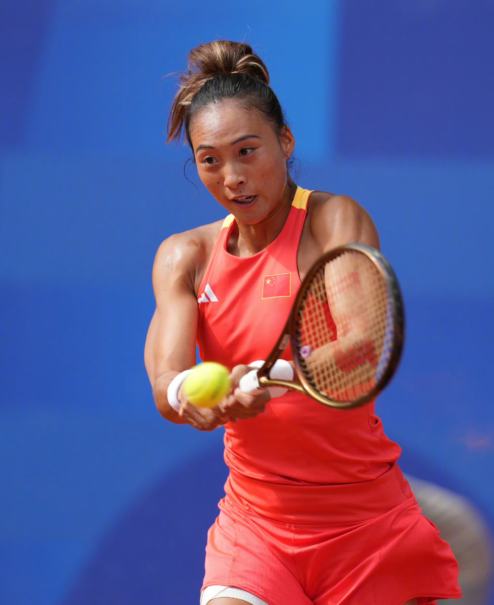 的职业生涯 的职业生涯